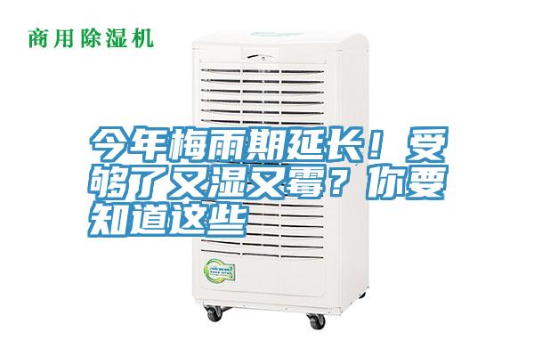 今年梅雨期延長！受夠了又濕又霉？你要知道這些