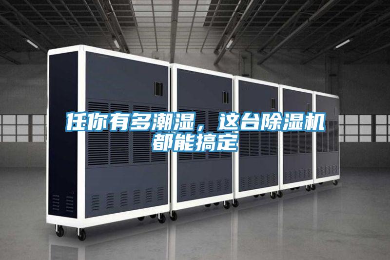 任你有多潮濕，這臺除濕機(jī)都能搞定