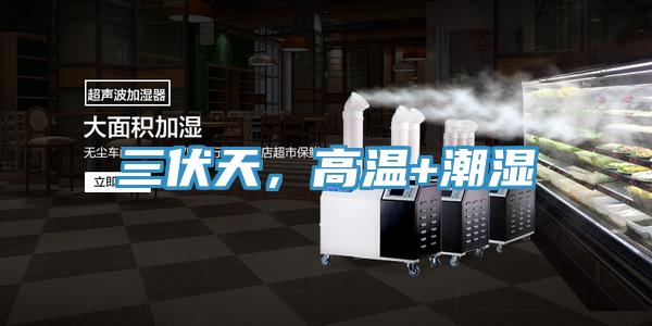 三伏天，高溫+潮濕