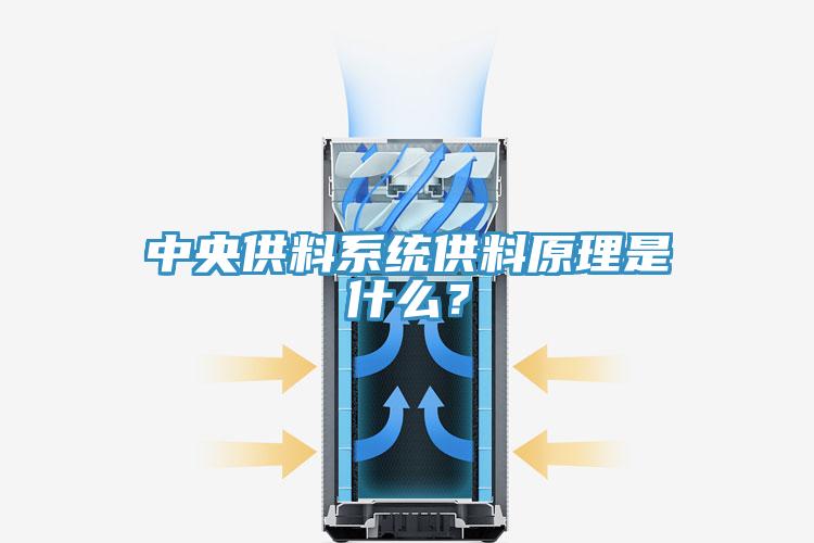 中央供料系統供料原理是什么？