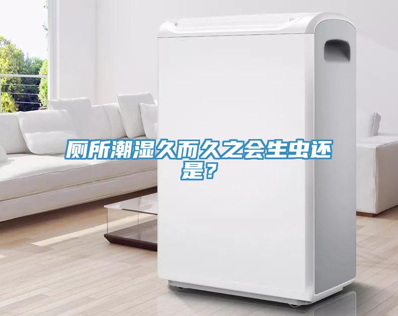 廁所潮濕久而久之會生蟲還是?