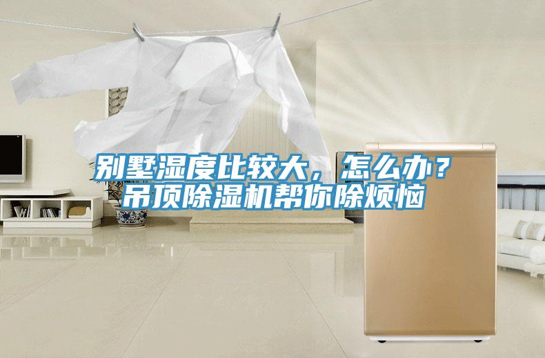 別墅濕度比較大，怎么辦？吊頂除濕機幫你除煩惱