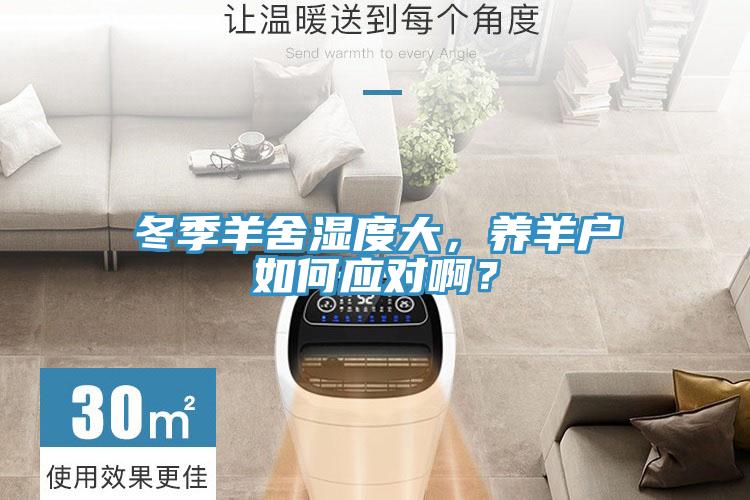 冬季羊舍濕度大，養(yǎng)羊戶如何應(yīng)對啊？