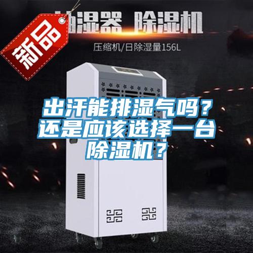 出汗能排濕氣嗎？還是應該選擇一臺除濕機？