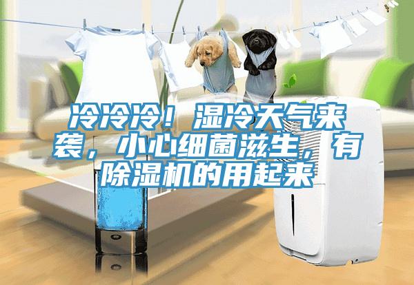 冷冷冷！濕冷天氣來襲，小心細菌滋生，有除濕機的用起來