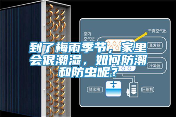 到了梅雨季節,家里會很潮濕,如何防潮和防蟲呢?