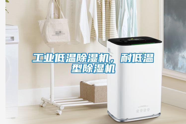 工業低溫除濕機，耐低溫型除濕機
