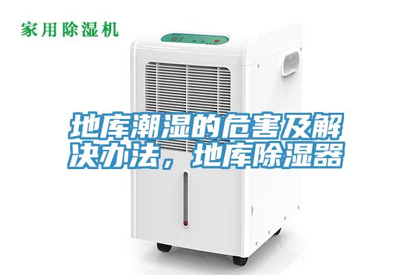 地庫潮濕的危害及解決辦法,地庫除濕器
