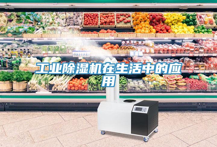 工業除濕機在生活中的應用