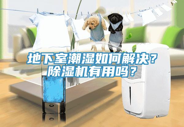 地下室潮濕如何解決？除濕機有用嗎？