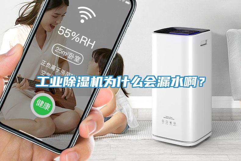 工業除濕機為什么會漏水?。?/></p>
                            <p style=