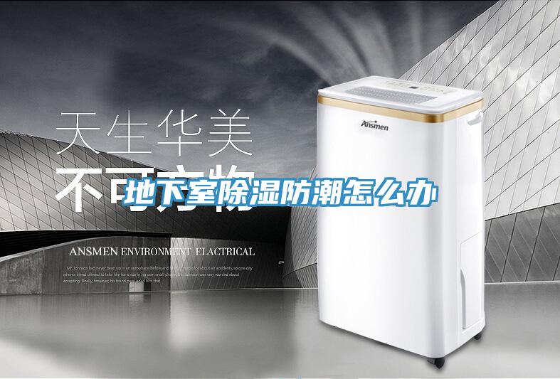 地下室除濕防潮怎么辦