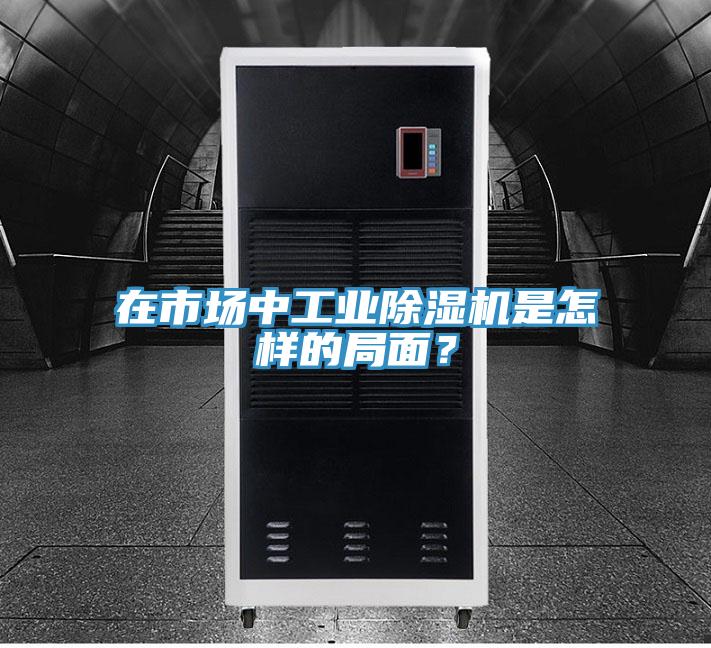 在市場(chǎng)中工業(yè)除濕機(jī)是怎樣的局面?