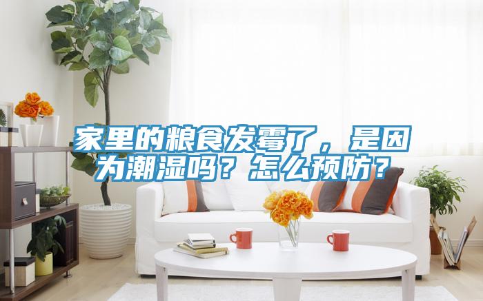 家里的糧食發(fā)霉了，是因?yàn)槌睗駟幔吭趺搭A(yù)防？
