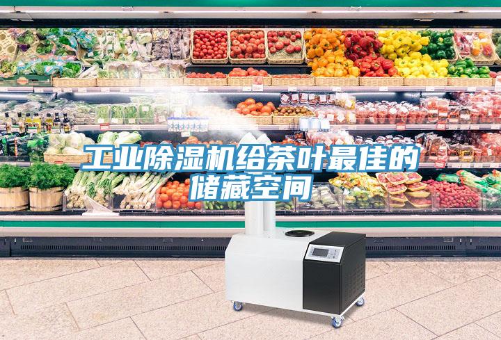 工業除濕機給茶葉最佳的儲藏空間