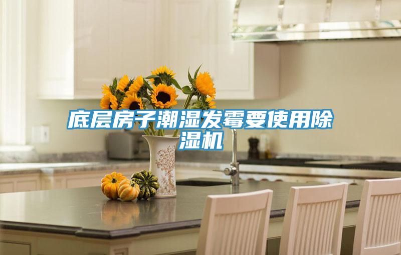 底層房子潮濕發霉要使用除濕機