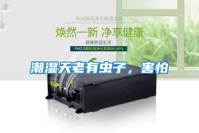 潮濕天老有蟲子,害怕