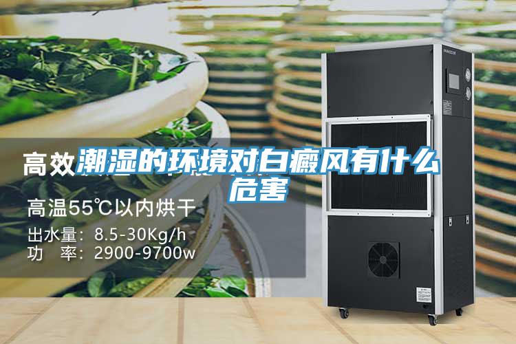 潮濕的環境對白癜風有什么危害