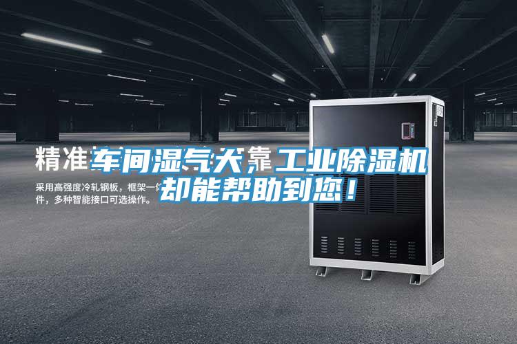 車間濕氣大,工業除濕機卻能幫助到您!