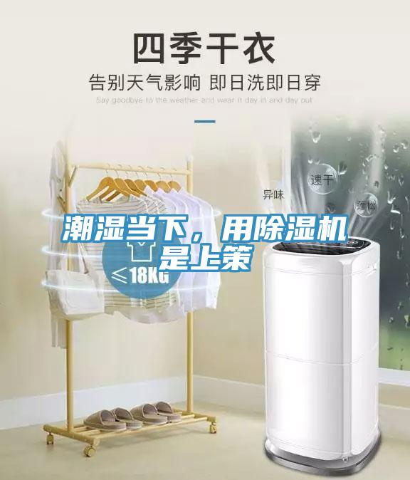 潮濕當(dāng)下,用除濕機(jī)是上策