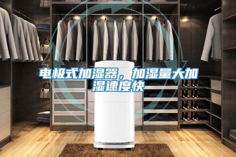 電極式加濕器,加濕量大加濕速度快