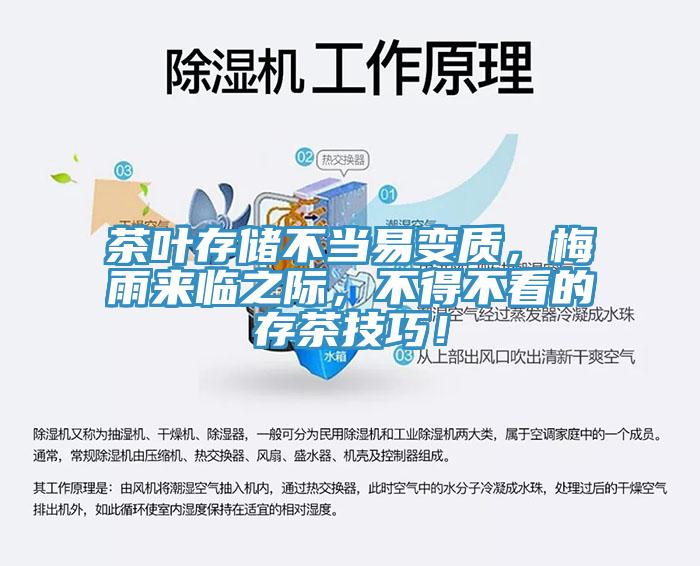 茶葉存儲不當易變質，梅雨來臨之際，不得不看的存茶技巧！