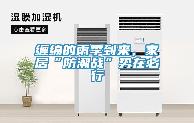 纏綿的雨季到來，家居“防潮戰”勢在必行