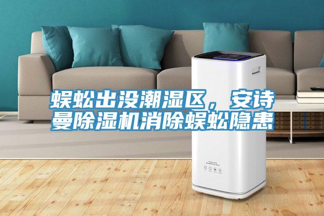 蜈蚣出沒潮濕區，安詩曼除濕機消除蜈蚣隱患