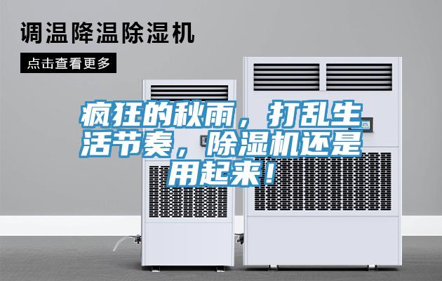 瘋狂的秋雨，打亂生活節奏，除濕機還是用起來！