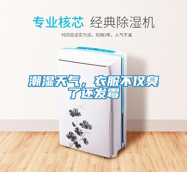 潮濕天氣,衣服不僅臭了還發霉
