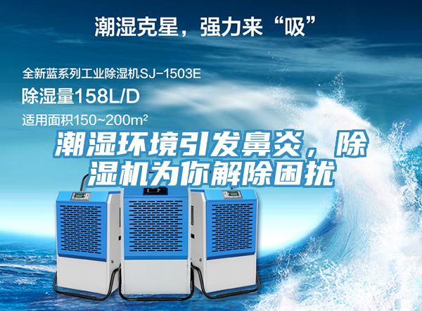 潮濕環境引發鼻炎，除濕機為你解除困擾