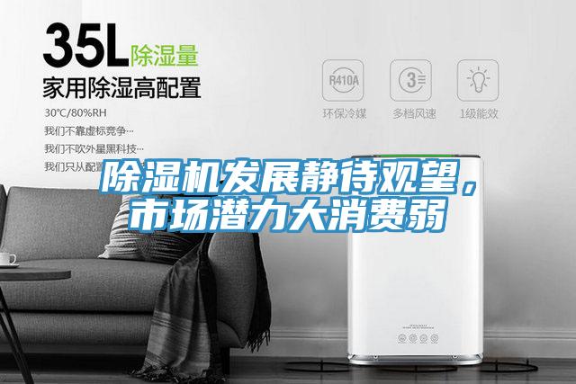 除濕機發展靜待觀望，市場潛力大消費弱