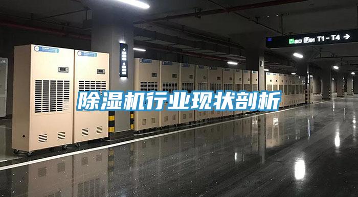 除濕機行業現狀剖析