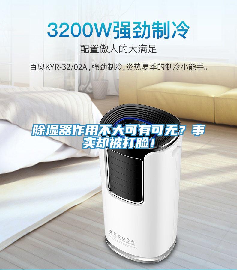 除濕器作用不大可有可無？事實卻被打臉！