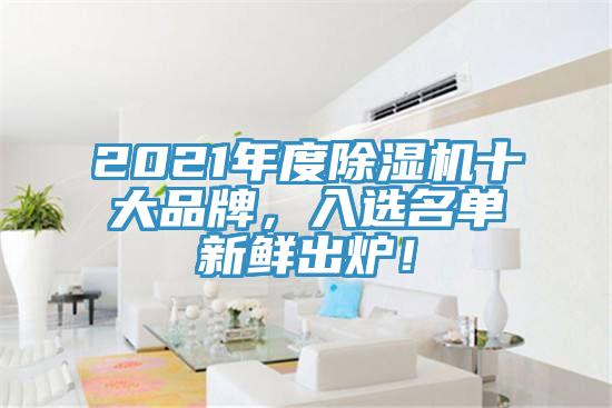 2021年度除濕機十大品牌，入選名單新鮮出爐！