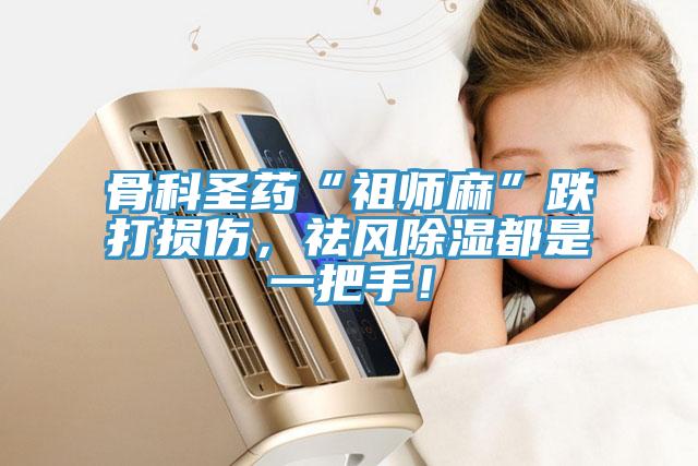 骨科圣藥“祖師麻”跌打損傷，祛風除濕都是一把手！