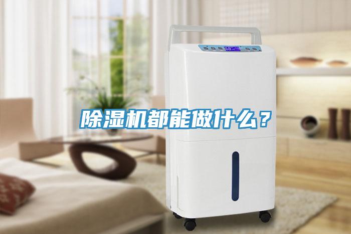 除濕機(jī)都能做什么？