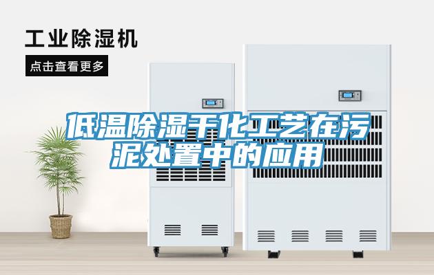 低溫除濕干化工藝在污泥處置中的應(yīng)用