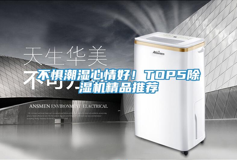不懼潮濕心情好!TOP5除濕機(jī)精品推薦