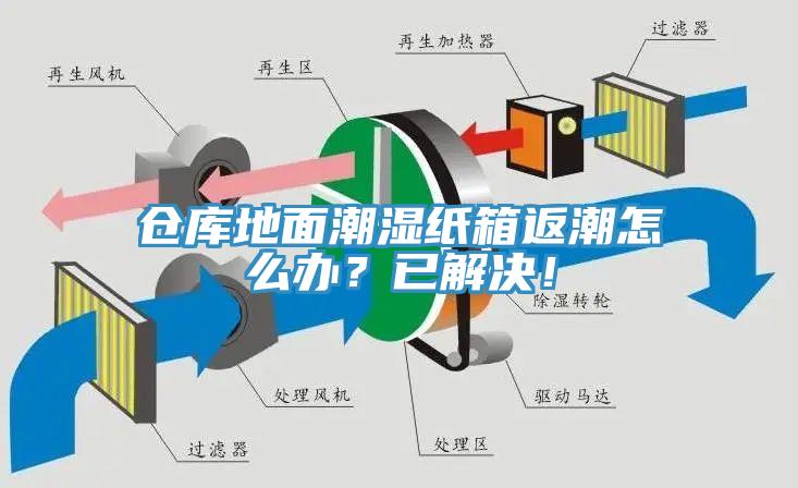 倉庫地面潮濕紙箱返潮怎么辦？已解決！