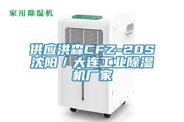 供應洪森CFZ-20S沈陽/大連工業除濕機廠家