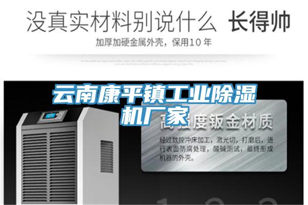 云南康平鎮工業除濕機廠家