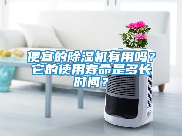 便宜的除濕機有用嗎？它的使用壽命是多長時間？
