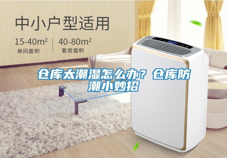 倉庫太潮濕怎么辦？倉庫防潮小妙招