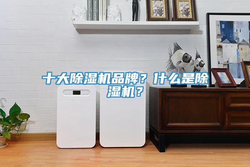 十大除濕機(jī)品牌？什么是除濕機(jī)？