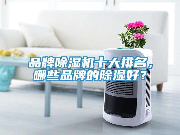品牌除濕機(jī)十大排名，哪些品牌的除濕好？