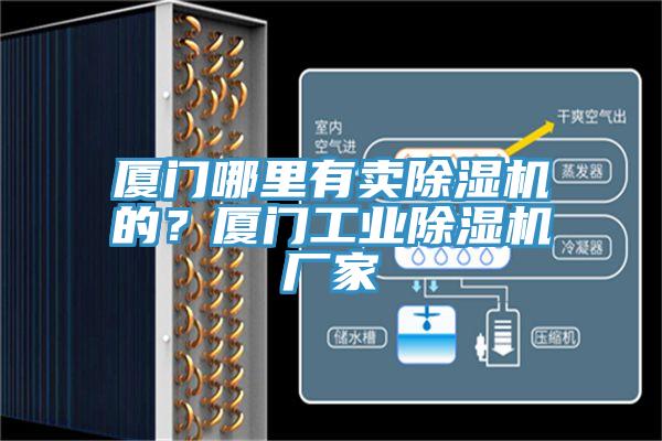 廈門哪里有賣除濕機(jī)的?廈門工業(yè)除濕機(jī)廠家