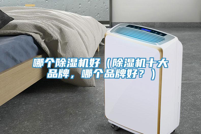 哪個(gè)除濕機(jī)好（除濕機(jī)十大品牌，哪個(gè)品牌好？）