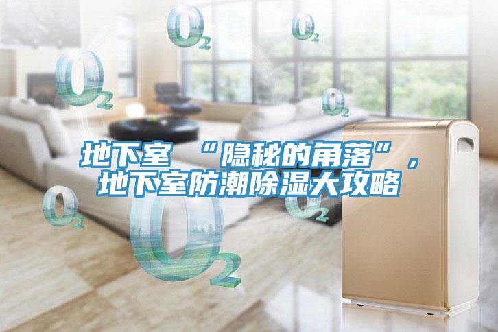 地下室≠“隱秘的角落”，地下室防潮除濕大攻略