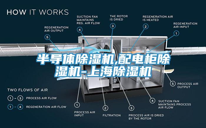 半導體除濕機,配電柜除濕機-上海除濕機
